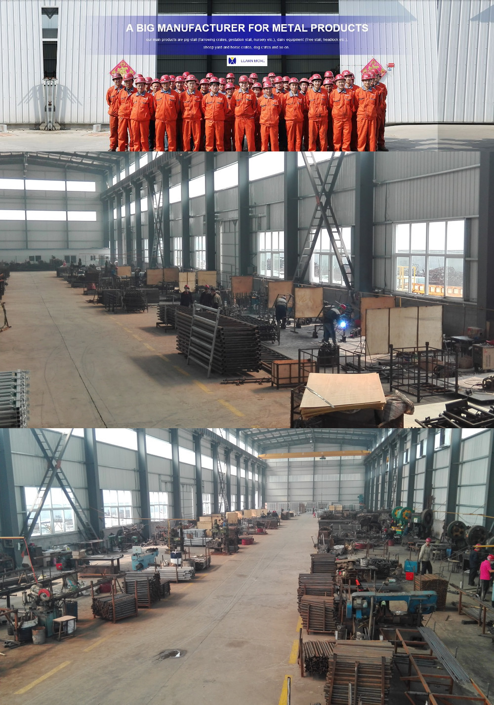 Squeeze Crush Cattle Handling Equipment
