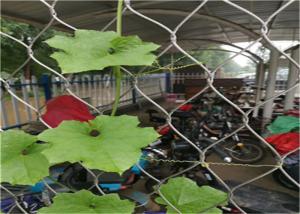 Quality Ferrule Wire Rope Plant Trellis 25x25mm 1.2mm Garden Wire For Climbing Plants wholesale