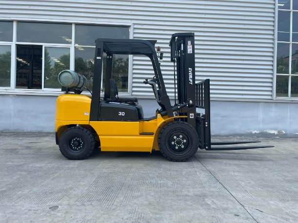 EVERLIFT EPA Engine 2.5ton 3 Ton Forklift Gas LPG Gasoline Forklift Truck 3500 Kgs With Side Shifter