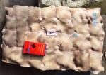 Block Frozen Illex Squid Wing / Argentina Squid Gmp Certification