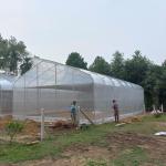 Urban Farming Sawtooth Agricultural Greenhouse Plastic Agri Greenhouse Single