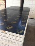 Shandong Linyi Film Faced Plywood Marine Plywood Construction Plywood