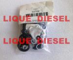 Stanadyne GASKET KIT 33702 Repair kits 33702