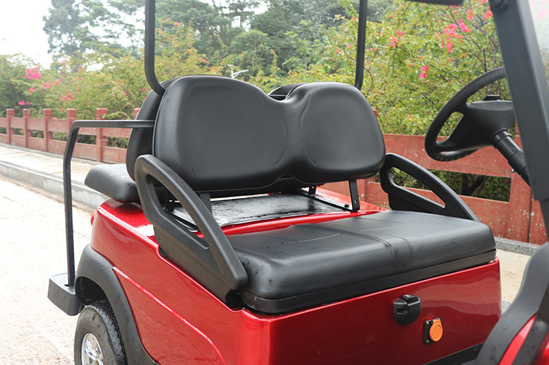 Quick Open Foldable Golf Cart 2 Seats+2 Rear Seat