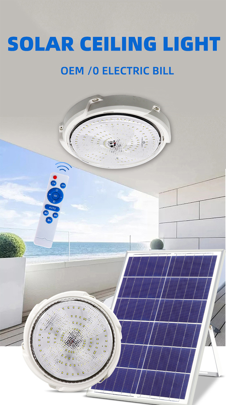 280mm round decorative light