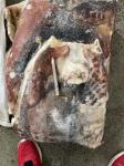 2 - 4kg Skinless Membrane Off IQF Frozen Squid Meat