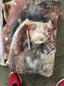 Quality 2 - 4kg Skinless Membrane Off IQF Frozen Squid Meat wholesale