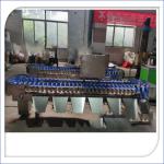 Automatic Electronic Fruit Sorter Ande Weigh Machine