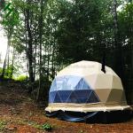 Diameter 6m Geodesic Dome Tent Glamping Prefab House For Rourist Accommodation