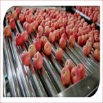 Automatic Electronic Fruit Sorter Ande Weigh Machine