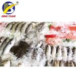 380 Volt 124.3KW 2mm Flake Style Ice Machine