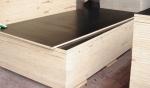 Construction Material E2 Film Faced Plywood