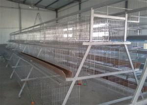 Quality 3 Tier 4 Doors A Frame Layer Cages / Q235 Chicken Battery Cage wholesale