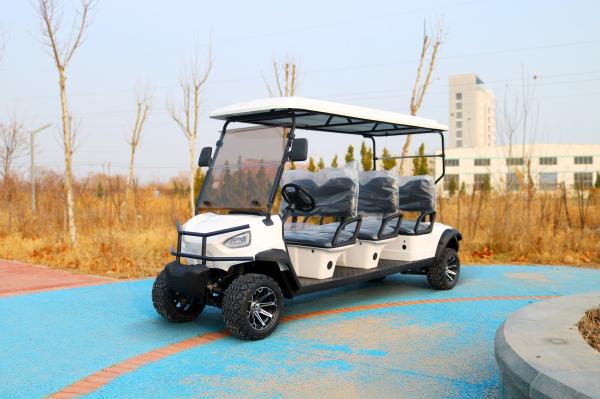 Luxury High-End 6 Seater Lithium Battery Off-Road Electric Golf Cart Supports