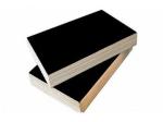film faced plywood/Cheap price construction playwood / high quality marine