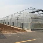 Indoor or Greenhouse Planting Made Easy with Food Grade PVC Hydroponic Growing
