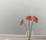 4mm Frosted Heat Strengthened Tempered Glass Panels For Window Frame