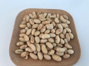 Quality Low Fat Organic Roasted Soy Nuts Refreshing Taste Vacuum Packing BRC Certified wholesale