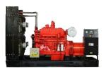 IP23 Protection Class 300KW 375KVA Natural Gas Generator Set with 180A Rated