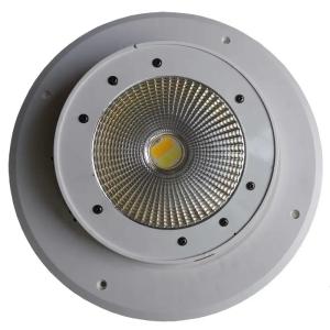 China Outdoor PVC Battery Powered LED PAR Light 100W For Disco KTV Party Wedding Stage on sale