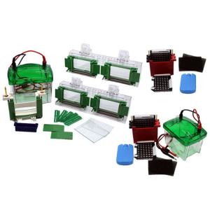 Quality Nucleic Acid Vertical Horizontal Gel Electrophoresis Apparatus 245×250mm wholesale