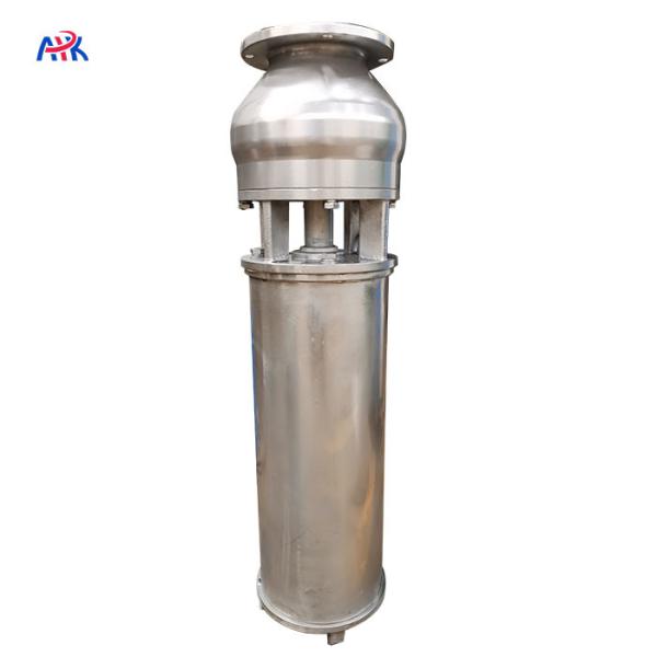 25m3/H 25m Stainless Steel 316 Fountain Submersible Pump Lake Pond Music