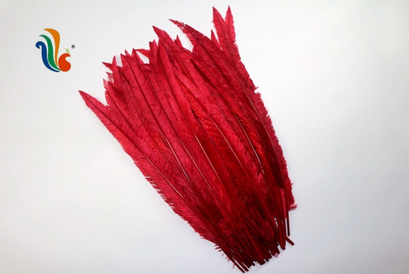 Party Decoration Nandu Plumes Feather Dyed Pattern for Worldwide Shipping