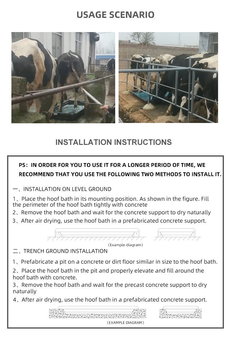 350L PE Hoof Footbath For Cattle Hoof Disinfection With Drain And 2800mm Length