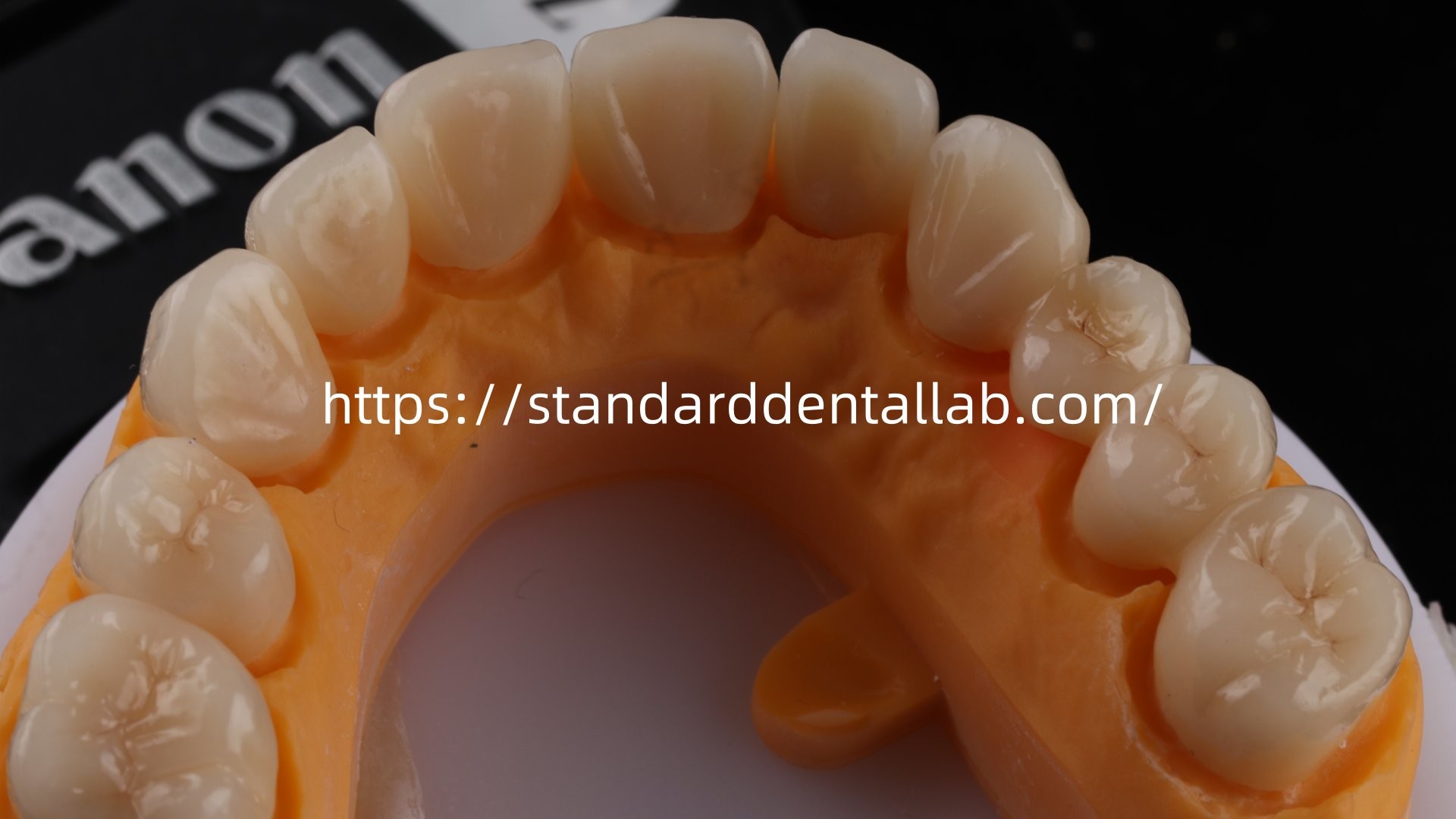 Layered Dental Zirconia Crown And Bridge Translucency 3D PRO Zirconia Porcelain Crown Standard Dental Lab
