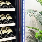 Premium Red Wooden Kitchen Wine Cooler With Advanced Temperature Control