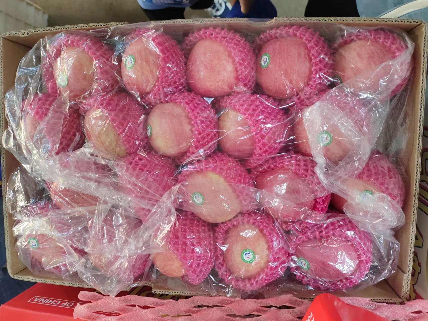 90% Maturity Fresh Fuji Apple Best and Common Cultivation Type