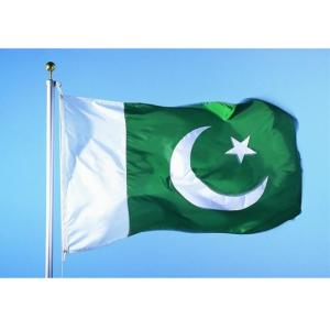 Quality High Color Fastness 115g Polyester Pakistan Country Flag wholesale