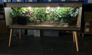 Quality Small Size Wooden Reptile Terrarium Waterproof With Automatic Control wholesale