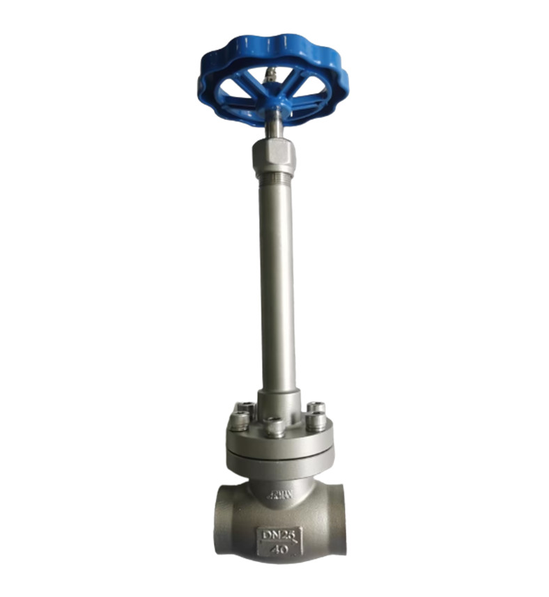 SS304/316 Cryogenic Globe Valve Long Stem-Type B(DN10-100mm) for LNG/LOX/LN2