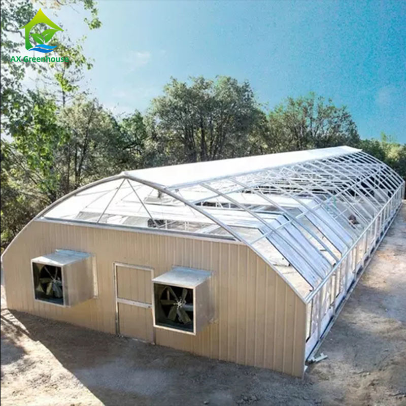 Mushroom Growing Sinle-span Automatic Blackout Greenhouse Light Deprivation