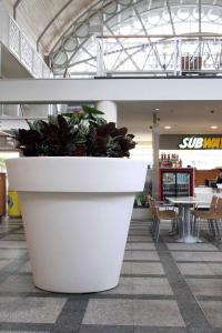 Quality Drainage Hole Hanging Fiberglass Planters For Indoor And Outdoor Decor wholesale