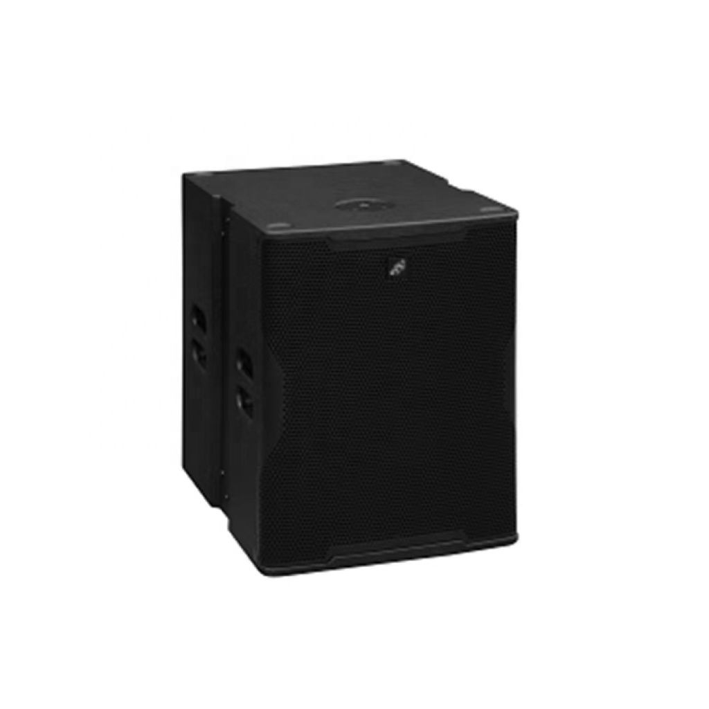 ARE AUDIO passive single 10 inch outdoor line array speaker immersive experience for corporate events