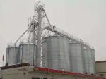 250 Ton 300 Ton Wheat Maize Flour Storage Galvanized Stainless Steel Grain Silo