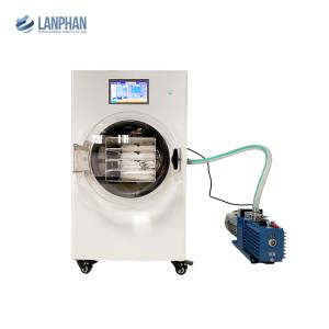 Quality 6kg 8kg Household Freeze Dryer Lyophilizer 1100W Fruit Food Mini Vacuum Dried wholesale