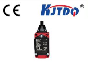Quality 250vAC 15A Ip67 Industrial Limit Switches , Precision Limit Switch Micro Switch wholesale