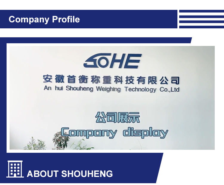 200KG LED Display Control Weighing Instrument for Industrial Efficiency and Accuracy