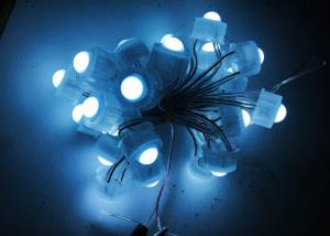 Quality 50pcs DC 12V 20mm LED Pixel Christmas Lights String Single Color Energy Saving wholesale