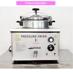 16L Capacity Fried Chicken Stove 3 Kw Power Commercial Hotel Equipment Electric