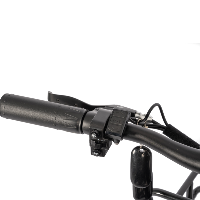 7 Speed Gears and 36V 13Ah High Capacity Ebike Perfect for Smart Electronic Delivery
