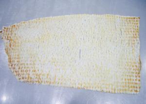 Quality Organ Squid Iron Plate White Yellow Color wholesale