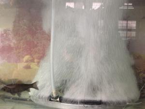 Quality Different size High Quality Aeration Tube Disc for fish pond and tank wholesale