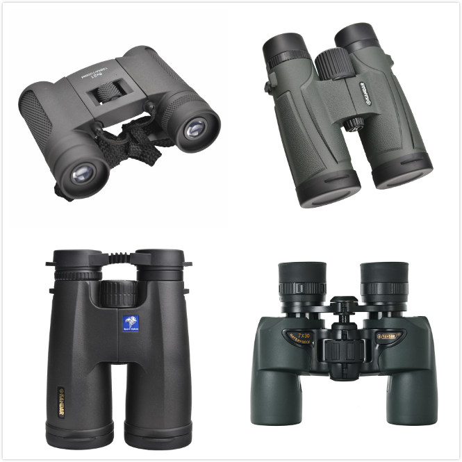 Outdoor Bird Watching Telescope 8x42 ED Waterproof Binocular with BAK4 Prism Included