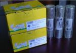 INA Metric Track Rollers Bearing NUTR15X