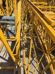 2021 Zoomlion Tower Crane (WA7015-10) Price, Direct Sales