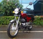 2020 New 100CC BOXER 4 Stroke Motorcycle